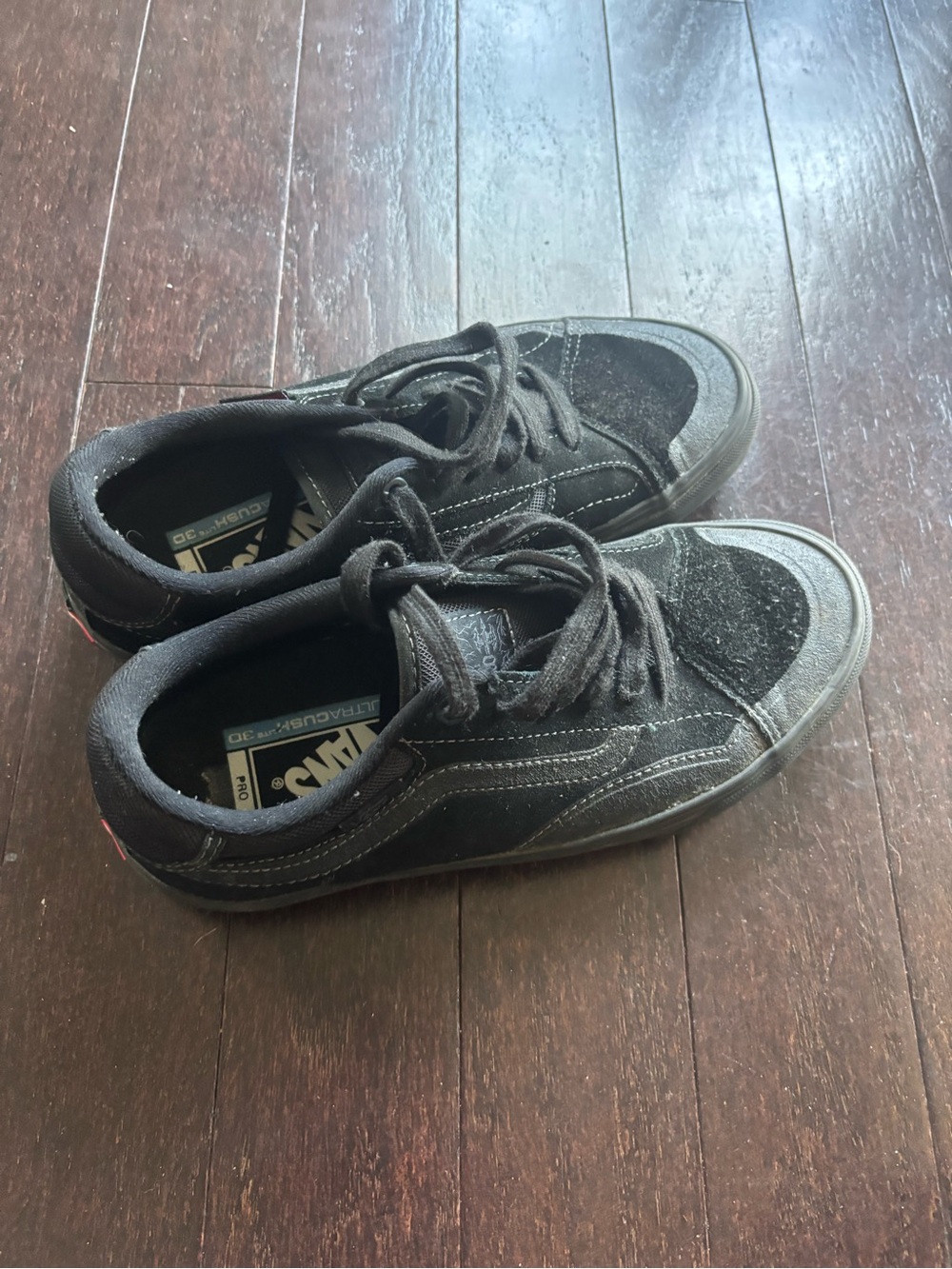 Vans Black Low-Top Skate Shoes with White Logo